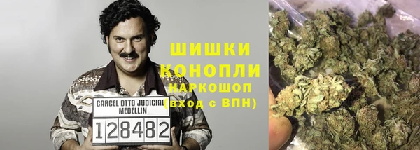 круглые Осинники