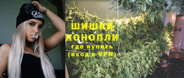 ALPHA PVP Осташков