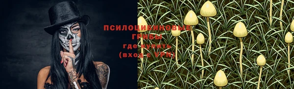 PSILOCYBIN Остров