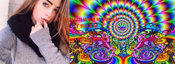PSILOCYBIN Остров